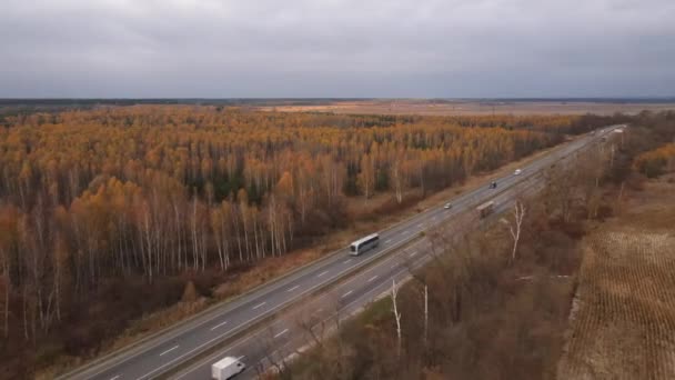 Pistte drone veya hava görüntüsü, sürüş arabaları, sonbahar ağaçları ve dramatik gökyüzü 4K çözünürlüklü video — Stok video