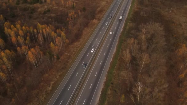 İnsansız hava aracı ya da hava manzarası, arabalar ve sonbahar ağaçları. 4K çözünürlük videosu İnsansız hava aracı işlek bir yolda uçuyor.. — Stok video