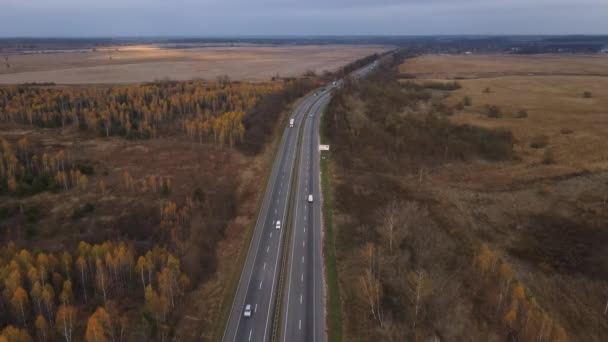Drón vagy légi kilátás a pályán, vezetési autók, őszi fák és drámai ég 4K felbontású videó — Stock videók