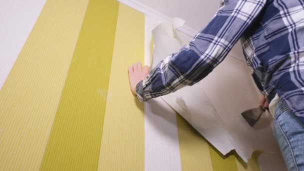 A young woman designer with a spatula in her hand stands on a stepladder and tears off the old wallpaper from the walls. Apartment renovation concept — 图库视频影像