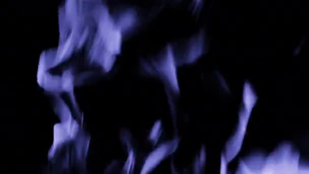 Požární čára nebo plameny izolované na černém pozadí tónované fialovou nebo fialovou. Velmi peri - 2022 barva roku. — Stock video