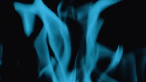 Feuerlinie oder Flammen isoliert auf schwarzem Hintergrund in blau getönt. — Stockvideo