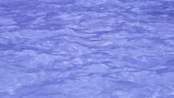 Puro transparente tonificado en agua púrpura en la piscina con reflejos de luz. Vídeo de resolución 4k. Textura del agua en la piscina — Vídeos de Stock