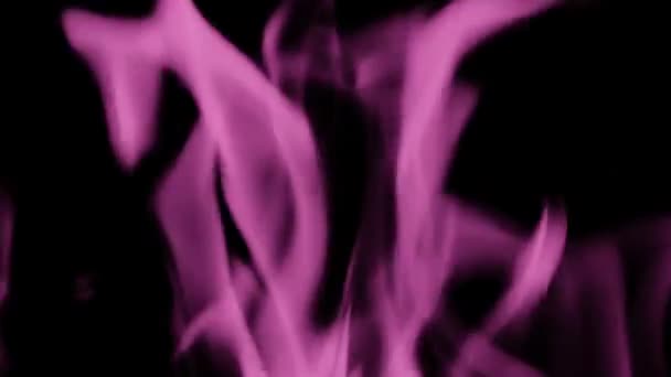 Slow-motion of fire line or flames isolated on black background toned in purple or violet. Very peri - 2022 color of the year. — Stock Video