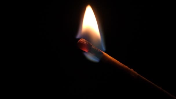 Burning match close up. Full HD slow motion video of burning match isolated on black background — Stock video