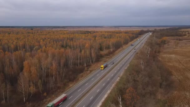 Drone nebo letecký pohled na trati, řízení automobilů a podzimní stromy. Video v rozlišení 4K. Dron se vznáší nad rušnou meziměstskou silnicí — Stock video