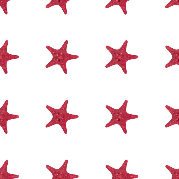 Getrocknete rote Seesternfischmuster auf weißem Hintergrund in Nahaufnahme. Draufsicht, minimaler flacher Lagestil. Nahtloses Banner oder Poster. — Stockfoto