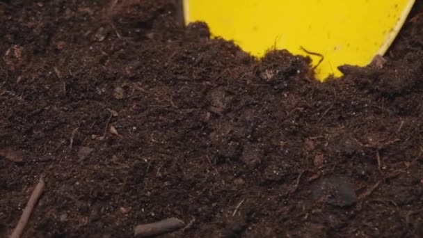 Vista de perto sobre colher jardim amarelo pegando solo para plantar sementes. Banner de jardinagem em câmera lenta Full HD — Vídeo de Stock
