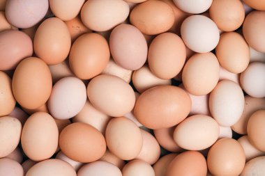 Yumurta arka planı. Üst manzara, yemek arkaplanı. Pek çok organik çiftlik yumurtası yakın mesafede.