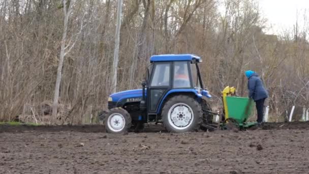 Bauern pflanzen im Frühjahr 2022 Kartoffeln mit einem Traktor an. Saat, landwirtschaftliches Konzept — Stockvideo