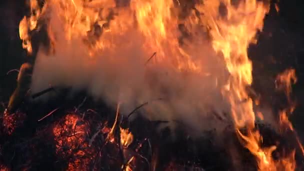 野火をキャッチフィールドに乾燥した草の上のビューを閉じます 炎の中の草 4K解像度ビデオ 森の中の大きな火 — ストック動画