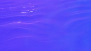 Neon Blue, pink and purple Water gradient texture with drops, splashes and waves. Organic water toned in blue and pink gradient with refraction of light slow motion video banner.