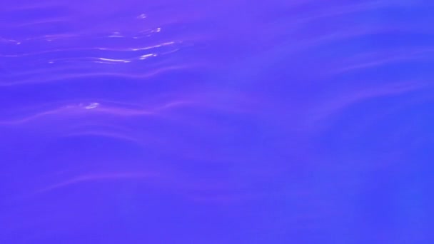 Neon Blue Pink Purple Water Gradient Texture Drops Splashes Waves — ストック動画