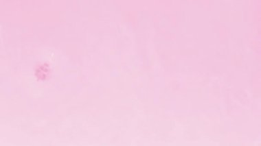 Close up view on Water texture with water drops on the water overlay effect for video mockup. Organic toned in pink drop shadow caustic effect with wave refraction of light. Slow motion video banner