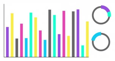 Animated Infographics set. Animation of two different charts and graphs in bright color isolated on white background. High quality 4k resoluton footage