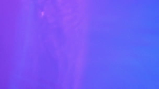 Neon Blue Pink Purple Water Gradient Texture Drops Splashes Waves — 비디오