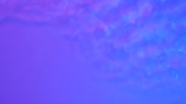 Neon Blue Pink Purple Water Gradient Texture Drops Splashes Waves — ストック動画