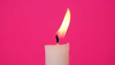 A festive white candle on an bright pink background. A candle is burning. 4K resolution romantic video