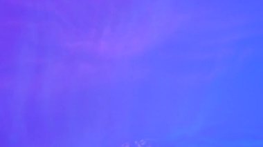 Neon Blue, pink and purple Water gradient texture with drops, splashes and waves. Organic water toned in blue and pink gradient with the refraction of light slow motion video banner