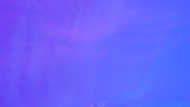 Неоновая Голубая Розовая Фиолетовая Текстура Воды Каплями Шипами Волнами Органическая — стоковое видео