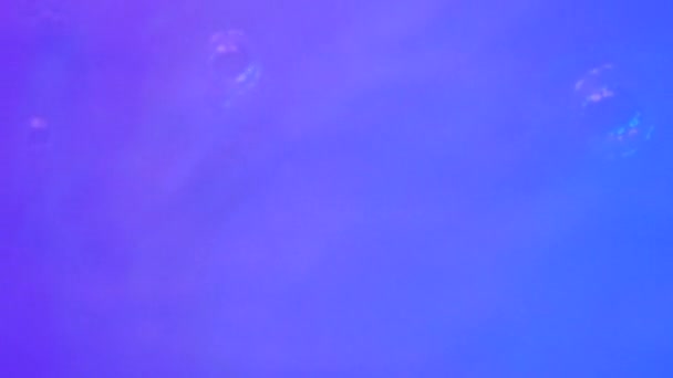 Neon Blue Pink Purple Water Gradient Texture Drops Splashes Waves — Vídeo de stock