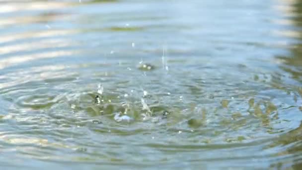 Vue Rapprochée Sur Les Gouttes Eau Les Surcles Eau Dans — Video