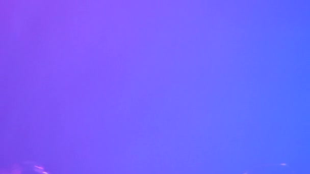 Neon Blue Pink Purple Water Gradient Texture Drops Splashes Waves — Αρχείο Βίντεο