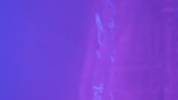 Neon Blue Pink Purple Water Gradient Texture Drops Splashes Waves — Stok video
