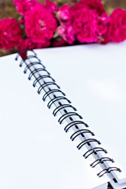 pembe Gül ve günlüğü