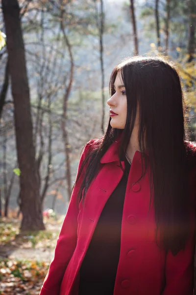 Beautiful young woman in autumn park — Stock Photo, Image