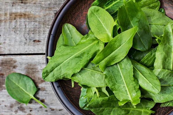 Fresh sorrel on a plate — Stock Photo, Image