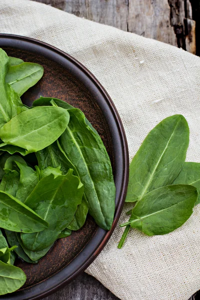 Acedera fresca en un plato — Foto de Stock