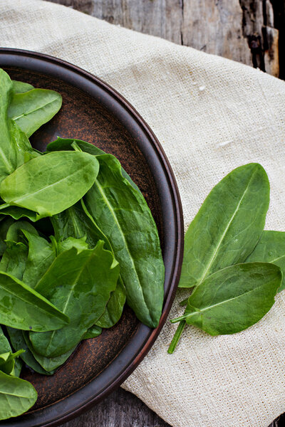 fresh sorrel on a plate