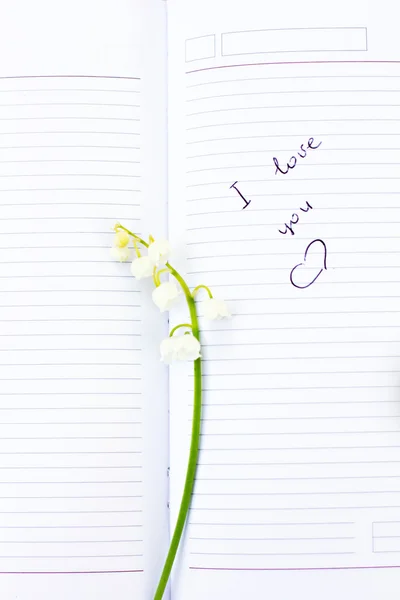 Καταχώρηση στο ημερολόγιο "σ 'αγαπώ" και κρίνος της κοιλάδας — Φωτογραφία Αρχείου