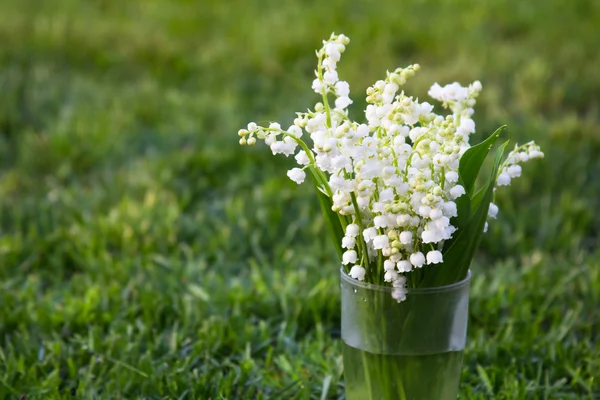 Lily of the valley — Stock Photo, Image