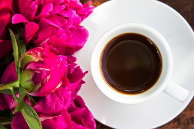 siyah kahve ve bordo Şakayık