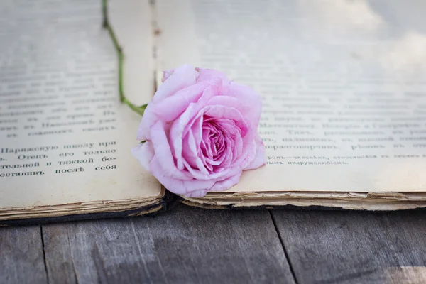 Rosa y un libro antiguo —  Fotos de Stock