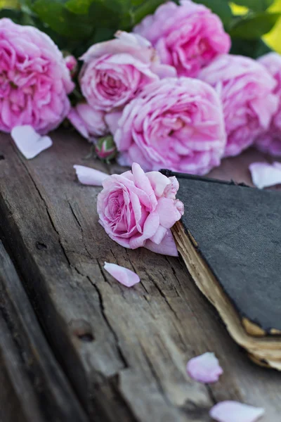 Rose and an antique book — Stock Photo, Image