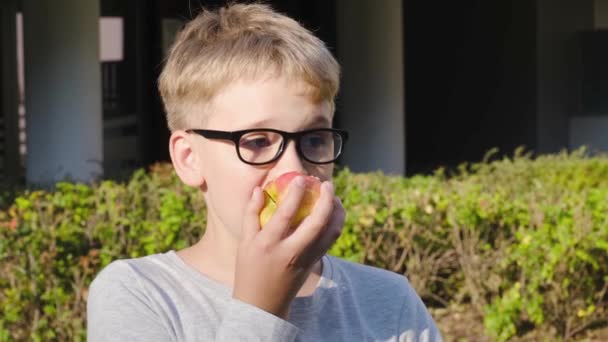 Portret van een schooljongen met een bril die buiten op de bank zit en appel eet. — Stockvideo