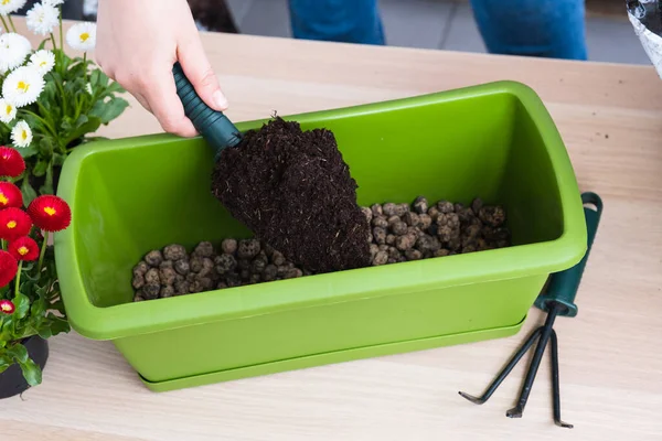 Kvindelig hånd hælde jord i potten til transplantation foråret blomster - Stock-foto