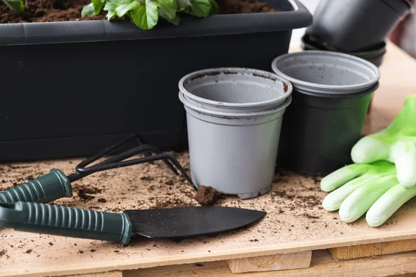 Havearbejde værktøjer, handsker og urtepotter til plantning af blomster. - Stock-foto