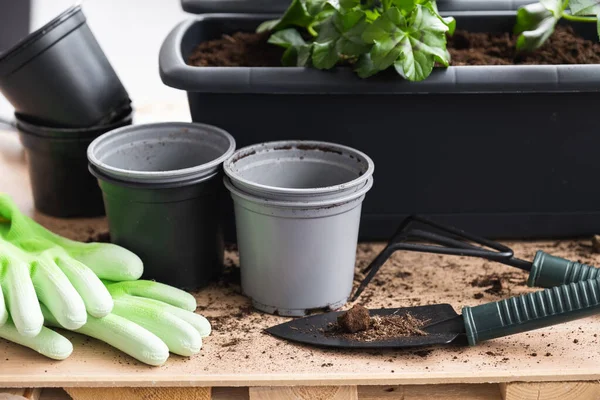 Herramientas de jardinería, guantes y macetas para plantar flores. — Foto de Stock