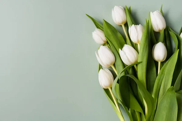 Flores de primavera sobre un fondo verde pálido. Tarjeta de felicitación con lugar para el texto — Foto de Stock