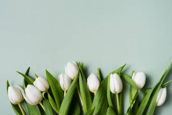 Frontera de tulipanes blancos sobre un fondo verde pálido. Mockup para tarjeta de felicitación de primavera. — Foto de Stock