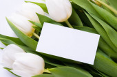 Bílá papírová vizitka s bílými tulipány. Floristry business concept.