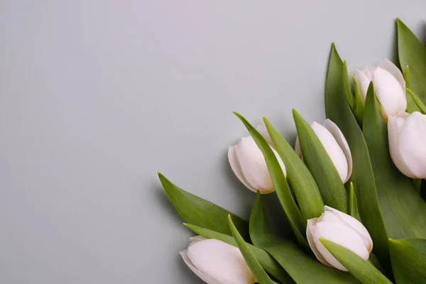 Fondo floral con tulipanes blancos frescos sobre fondo gris. Mockup para tarjeta de felicitación de primavera. — Foto de Stock