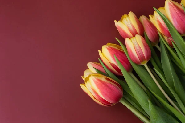 Elegante ramo de hermosos tulipanes frescos sobre un fondo borgoña — Foto de Stock