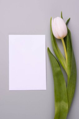 Minimalistic mockup for congratulations or invitations