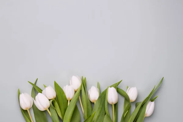 Spring background with white tulips. Mockup for spring greeting card. — Stock Photo, Image