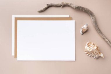 Bej arka planda dalları ve deniz kabuğu olan minimal kağıt maketi